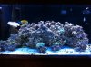 FTS2.JPG