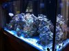 FTS AS.JPG