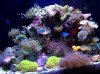 FTS 7-12-12.jpg