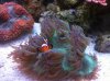 IMG_0662.jpg