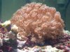 IMG-20120214-01014.jpg