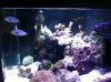 clowns29g.jpg