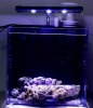 OCReef-Nano-Aquariums.jpg