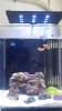 OCReef-Nano-Fish-Tank.jpg