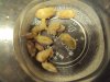 DSC01378.JPG
