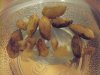 DSC01385.JPG