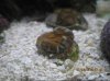 IMG_1795.jpg
