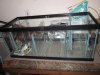 IMG_1638.jpg
