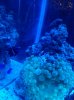 IMG_20120802_205554.jpg