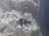 100_0159.jpg