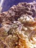 IMG_20120805_183902.jpg