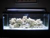 3reef 001.JPG