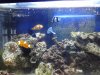 IMG_20120809_171909.jpg