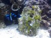 IMG_20120809_171930.jpg