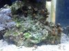 IMG_20120809_171957.jpg