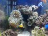 IMG_20120809_172039.jpg