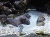 IMG_20120809_171948.jpg