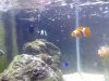 IMG_20120809_172029.jpg