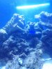 IMG_20120809_191235.jpg