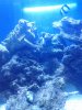 IMG_20120809_191240.jpg