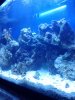IMG_20120809_191256.jpg