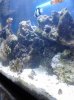IMG_20120809_191309.jpg