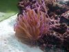 IMG-20120730-00454.jpg