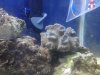 IMG_20120810_193819.jpg