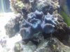 IMG_20120810_193829.jpg