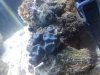 IMG_20120810_193839.jpg
