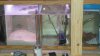 DSC00432.jpg