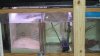 DSC00433.jpg