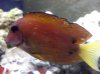 2012-08-22_21-35-38_715.jpg