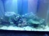 IMG_20120826_114234.jpg