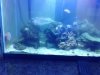 IMG_20120826_114207.jpg