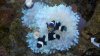2010-09-30_19-46-19_507.jpg