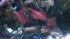 2012-05-06_16-27-43_288.jpg