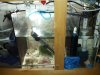 2012-08-27_20-44-19_471.jpg