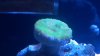 2012-08-28_18-45-54_5.jpg