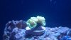 2012-08-28_18-46-35_933.jpg