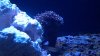 2012-08-28_18-46-46_187.jpg