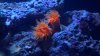 2012-08-28_18-46-41_461.jpg
