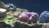 2012-09-02_12-07-11_391.jpg