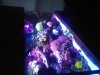 ImageUploadedByTapatalk HD1346643834.046723.jpg