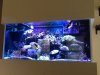 ImageUploadedByTapatalk HD1346879743.074104.jpg
