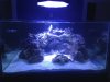 2012-04-19 at 07-03-35.jpg
