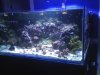 2012-07-08 at 21-34-58.jpg