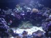 2012-07-08 at 21-35-05.jpg