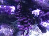 2012-09-03 at 21-59-29.jpg