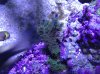 2012-09-03 at 21-58-49.jpg